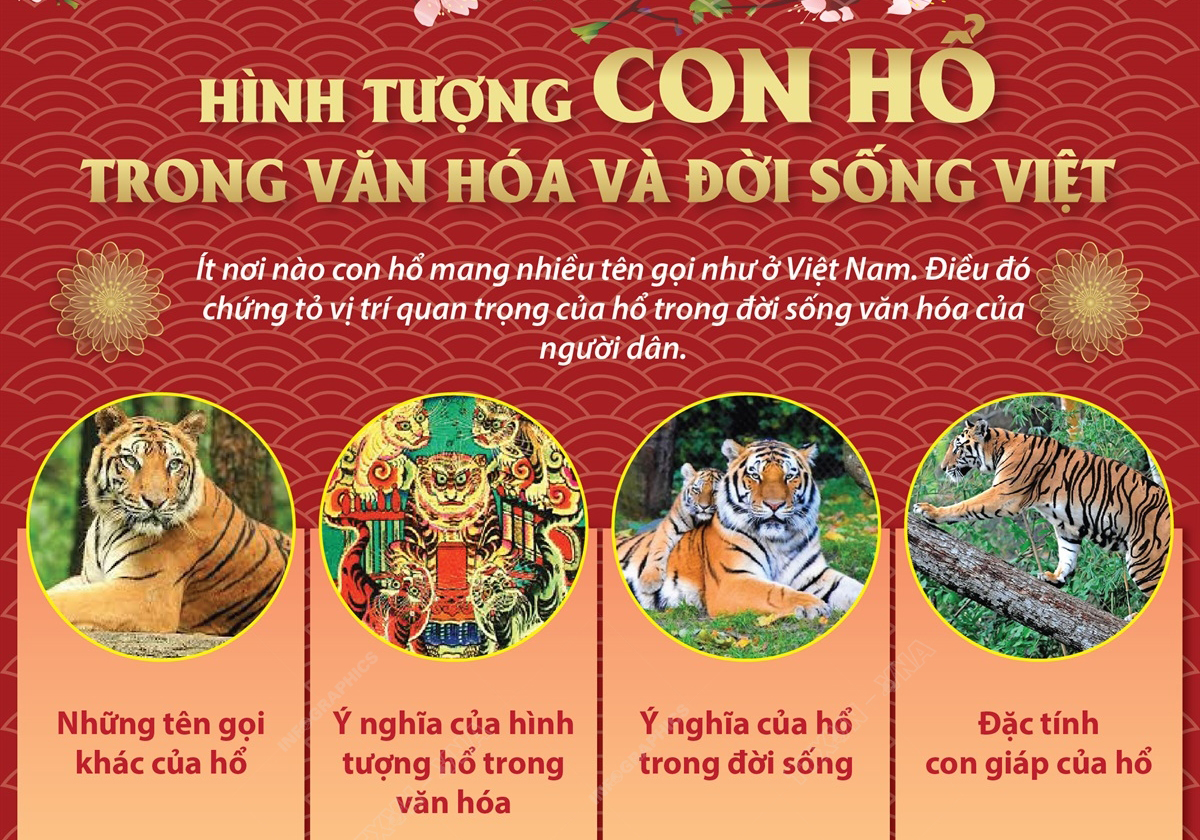 Hình tượng con hổ trong văn hóa và đời sống Việt | baotintuc.vn