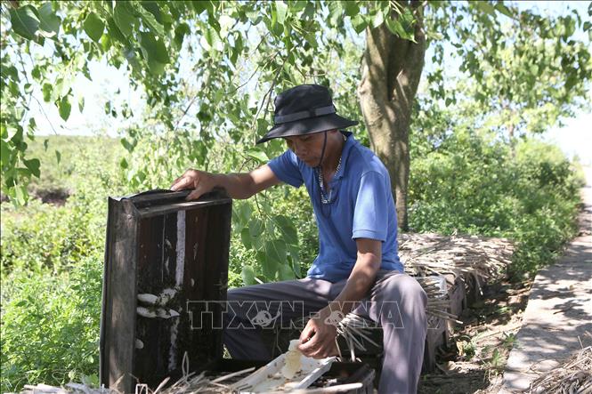 Chú thích ảnh