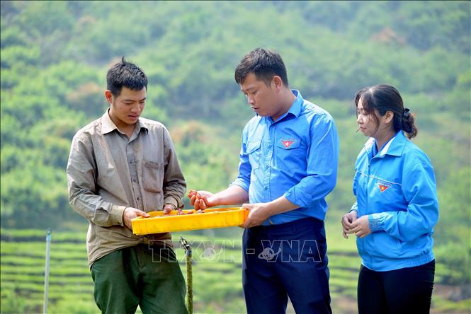 Chú thích ảnh