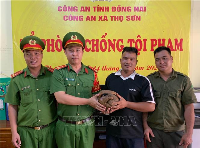Chú thích ảnh