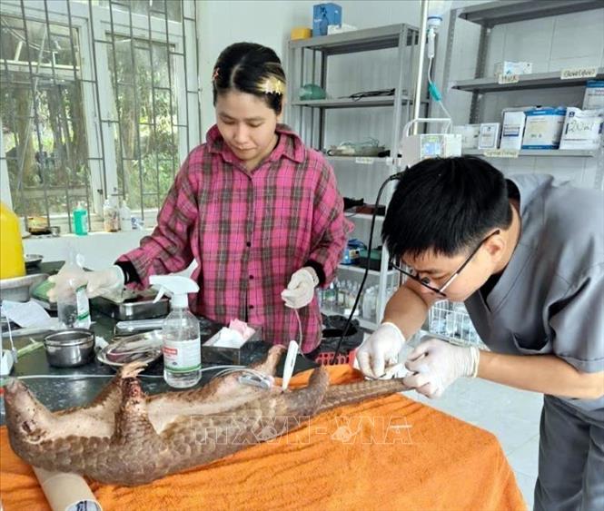 Chú thích ảnh