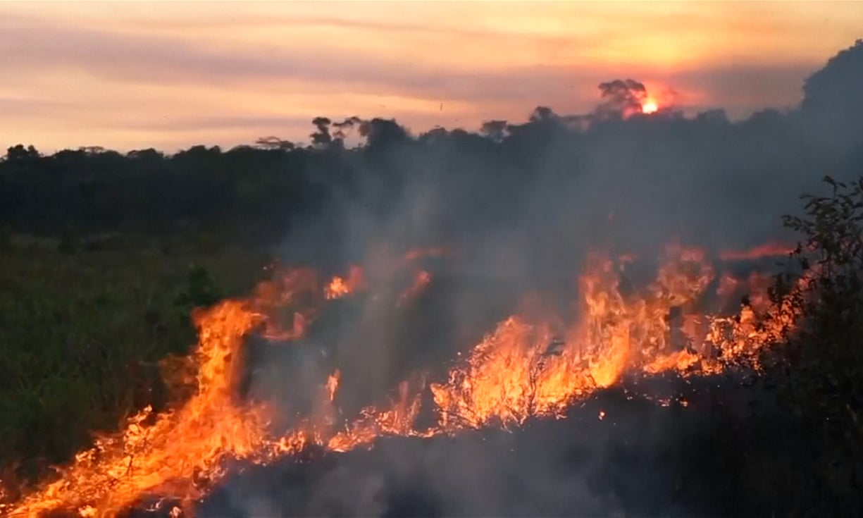 Hậu quả khủng khiếp của cháy rừng Amazon | baotintuc.vn