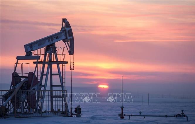 Mỹ tính trừng phạt Saudi Arabia sau khi OPEC+ giảm sản lượng dầu