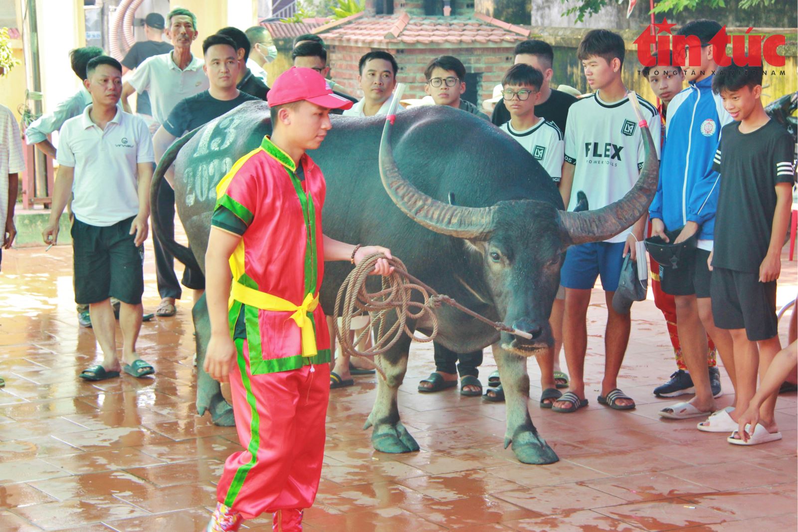 Chú thích ảnh