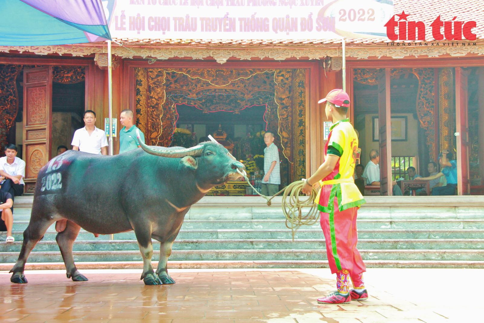 Chú thích ảnh