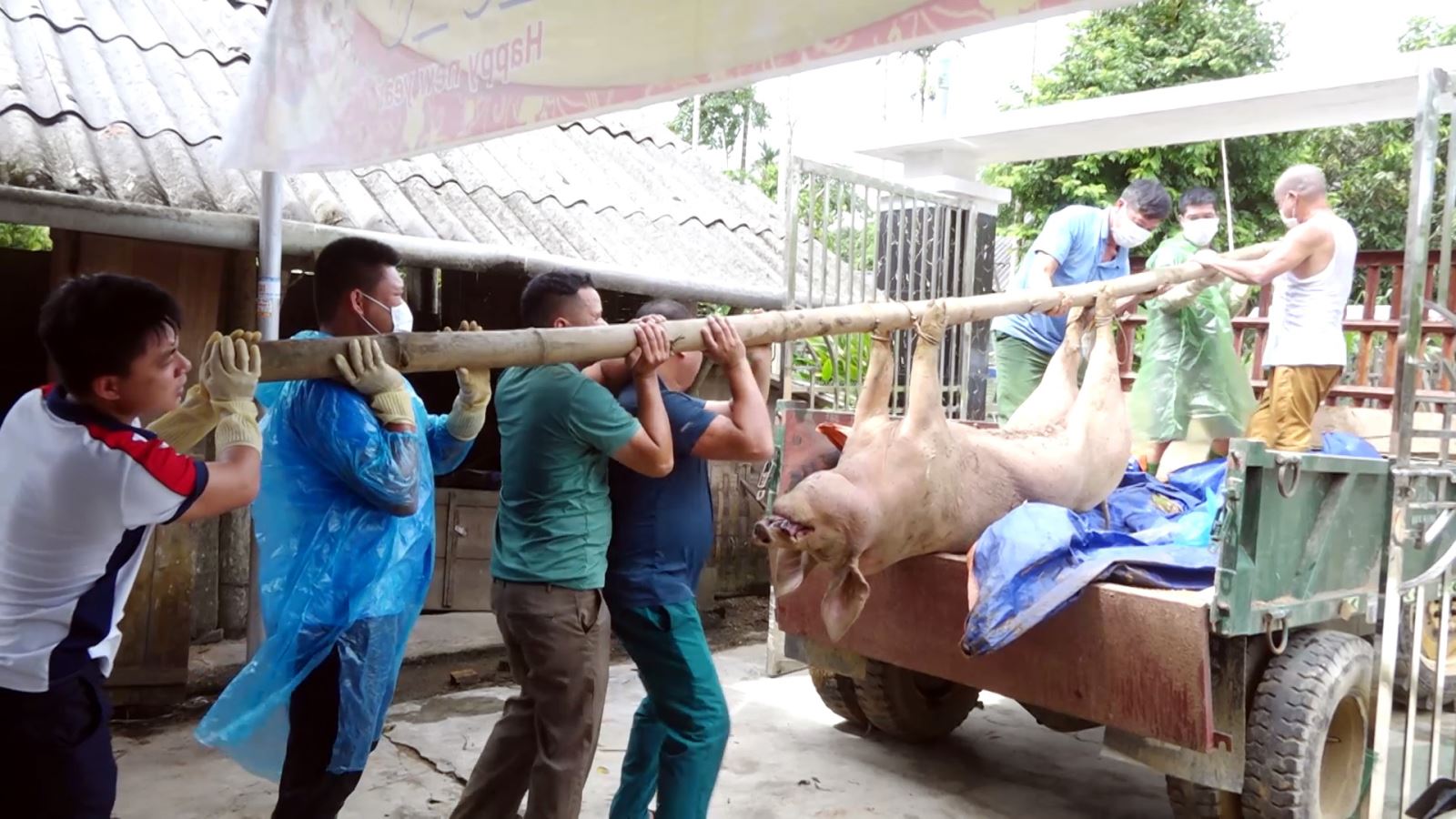 Chú thích ảnh
