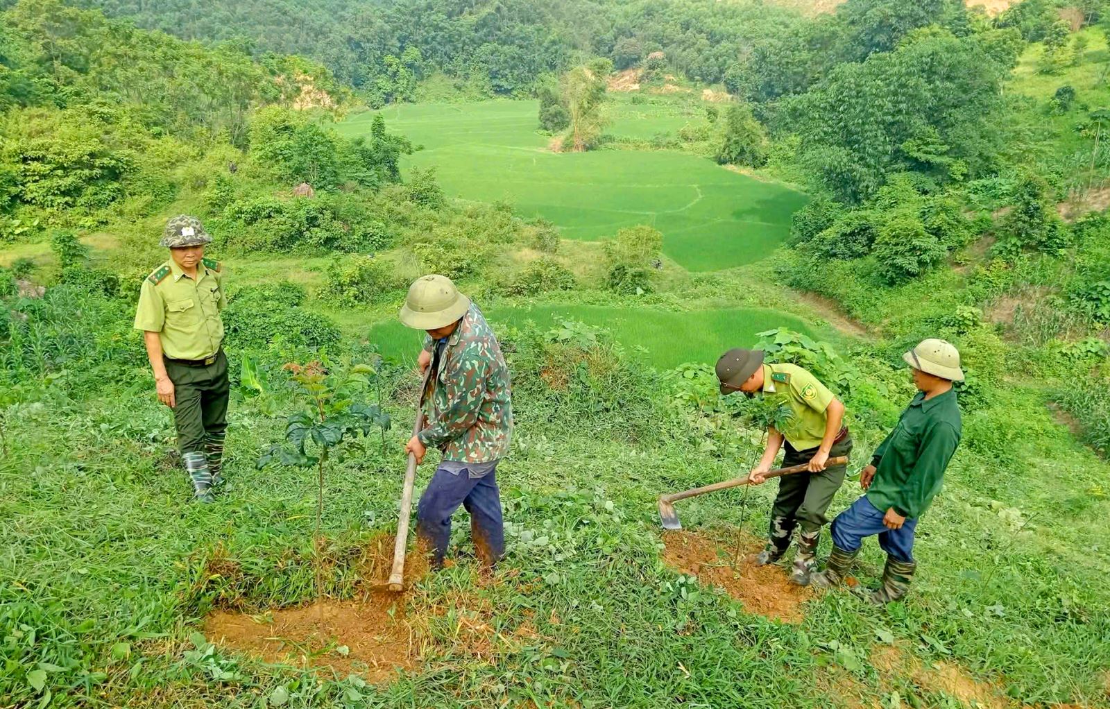 Chú thích ảnh