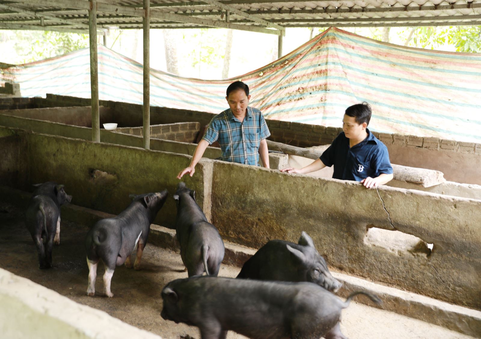 Chú thích ảnh