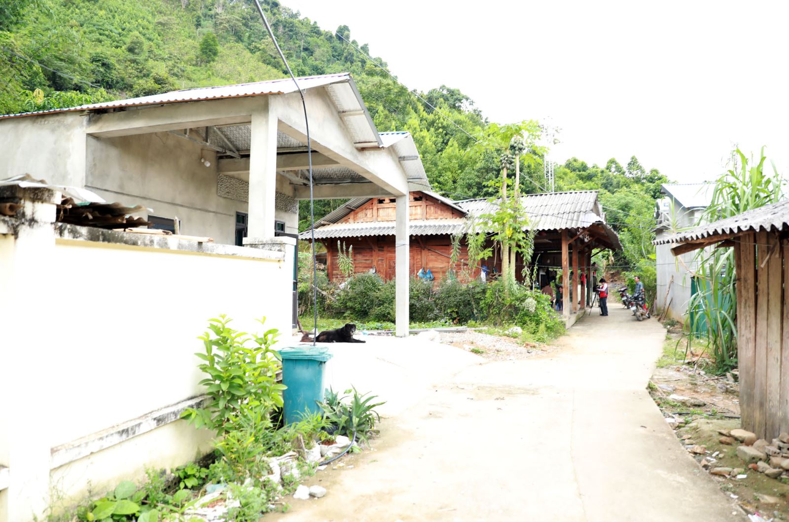 Chú thích ảnh
