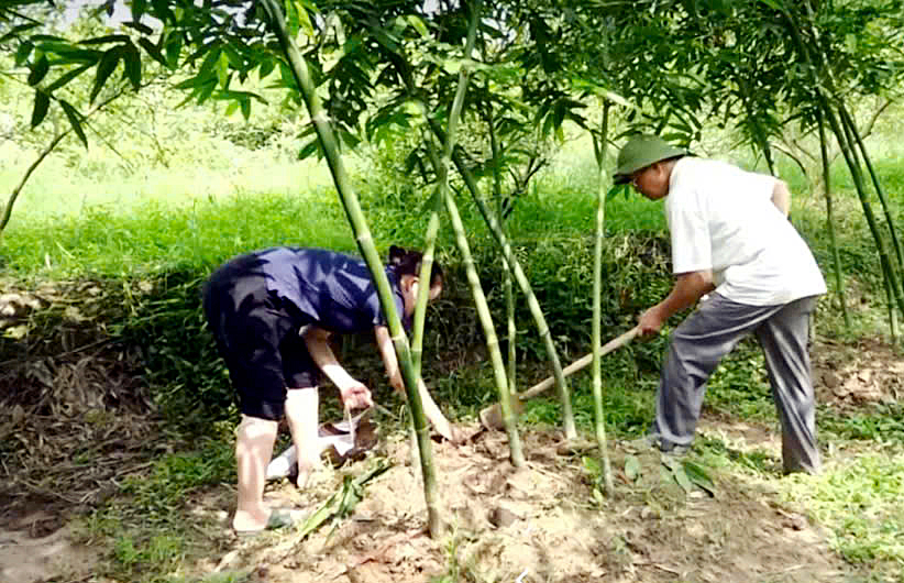 Chú thích ảnh