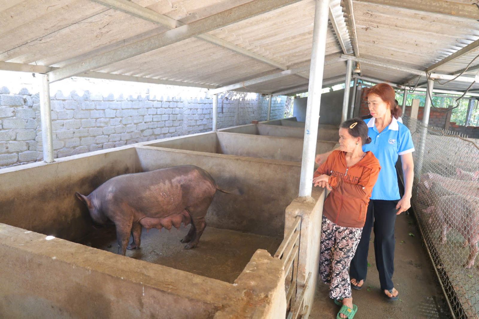 Chú thích ảnh