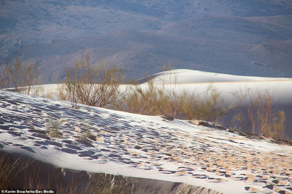Cảnh tượng cực hiếm: Băng tuyết phủ trắng sa mạc Sahara - Ảnh 1.