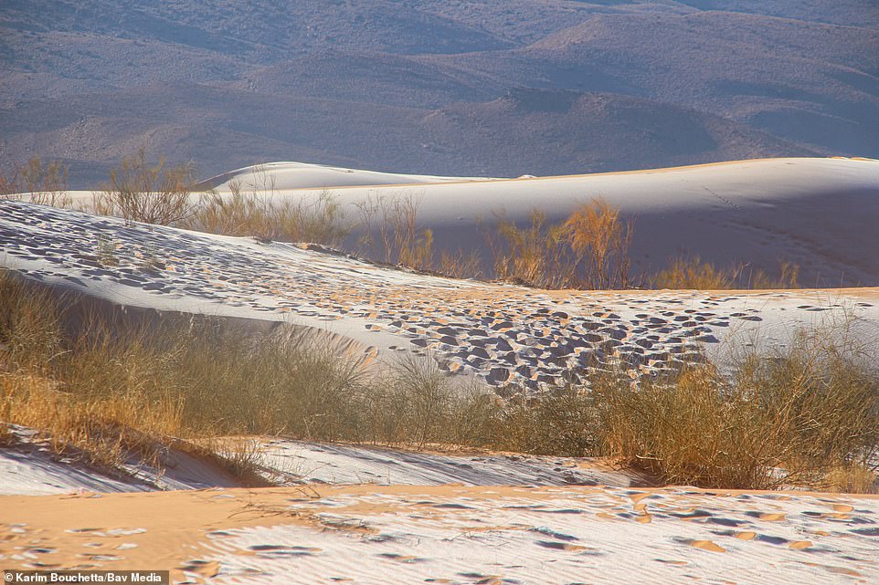 Cảnh tượng cực hiếm: Băng tuyết phủ trắng sa mạc Sahara - Ảnh 3.