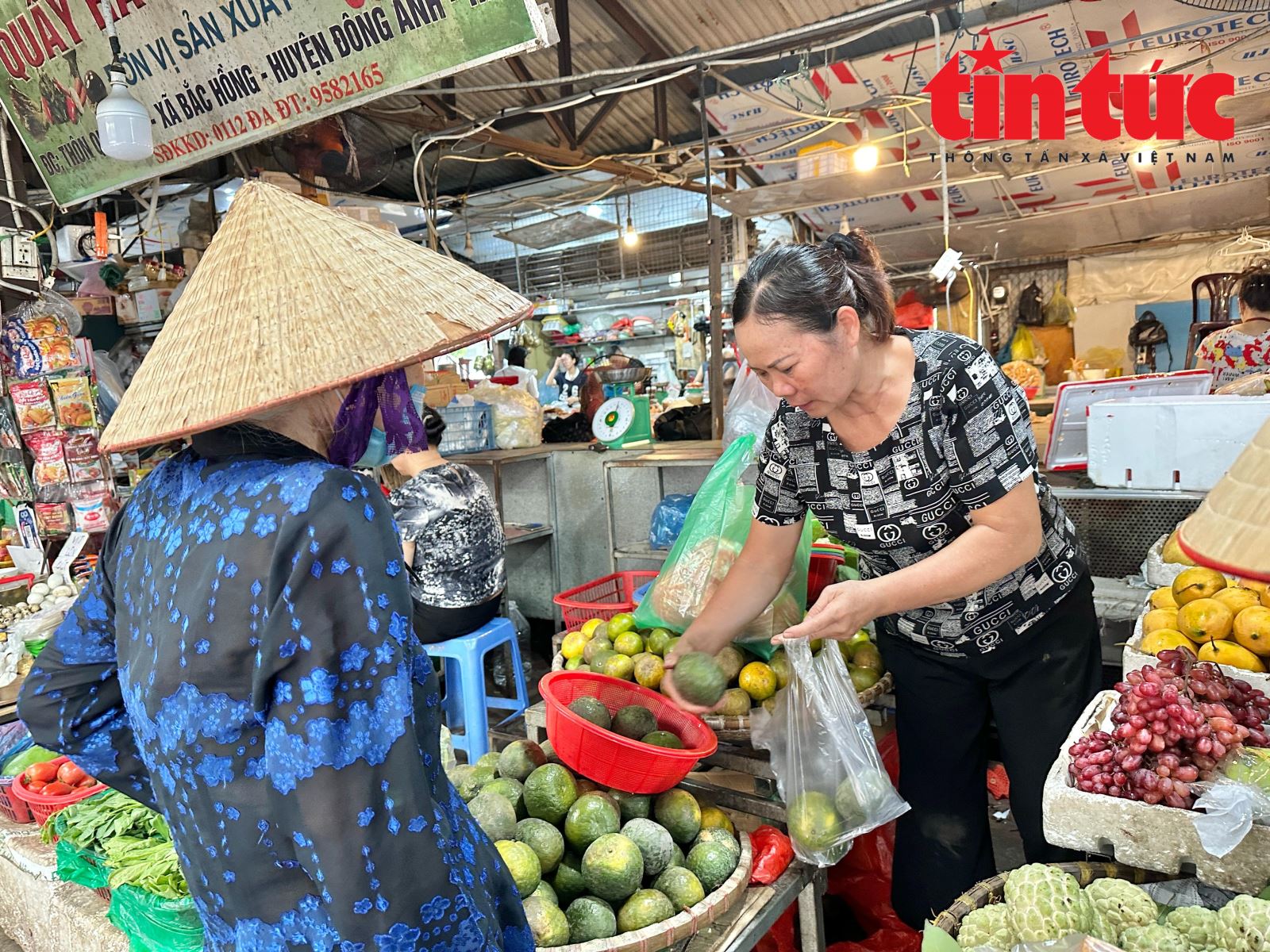 Chú thích ảnh