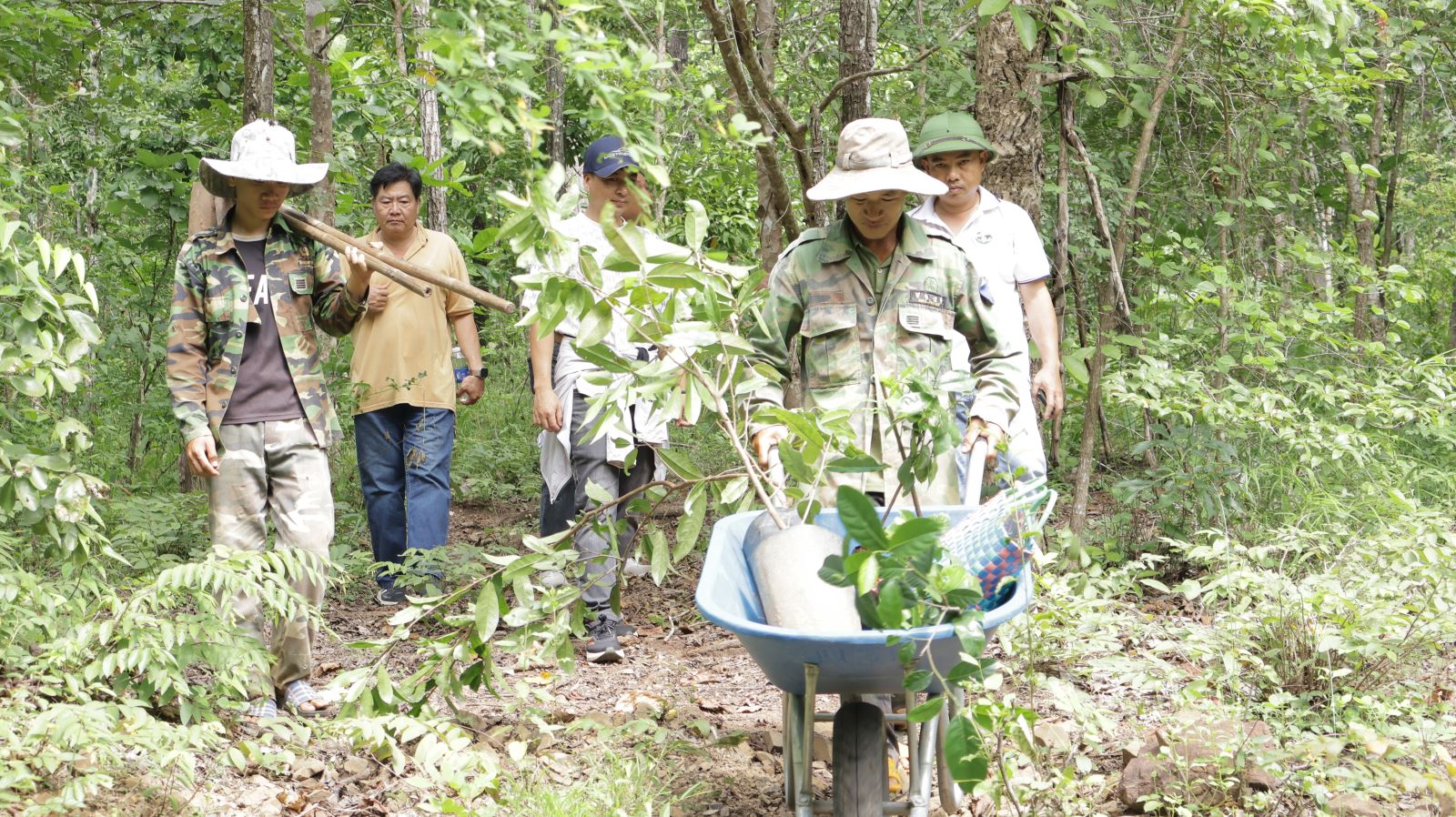 Chú thích ảnh