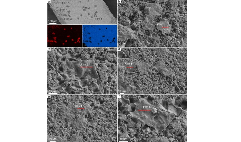 'Đá sống' tại Nam Phi hấp thụ carbon siêu tốc