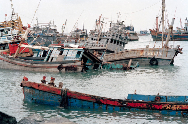 Cơn bão số 5 (Tên quốc tế Linda) gây thiệt hại về tàu, thuyền củahuyện Côn Đảo. 
