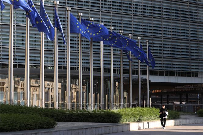 EU và 6 nước thành viên phê chuẩn Hiệp định về Biển cả Chú thích ảnh