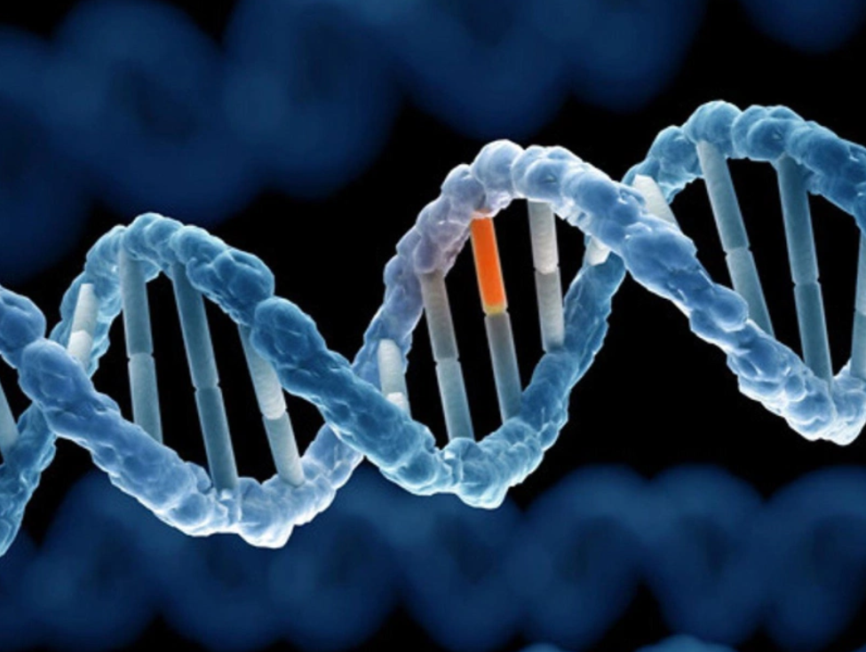 Trí tuệ nhân tạo: Mô hình AI giúp xác định đột biến gen gây bệnh