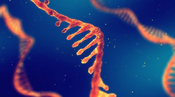 Bước tiến mới trong nghiên cứu thuốc nhắm trúng đích điều trị ung thư