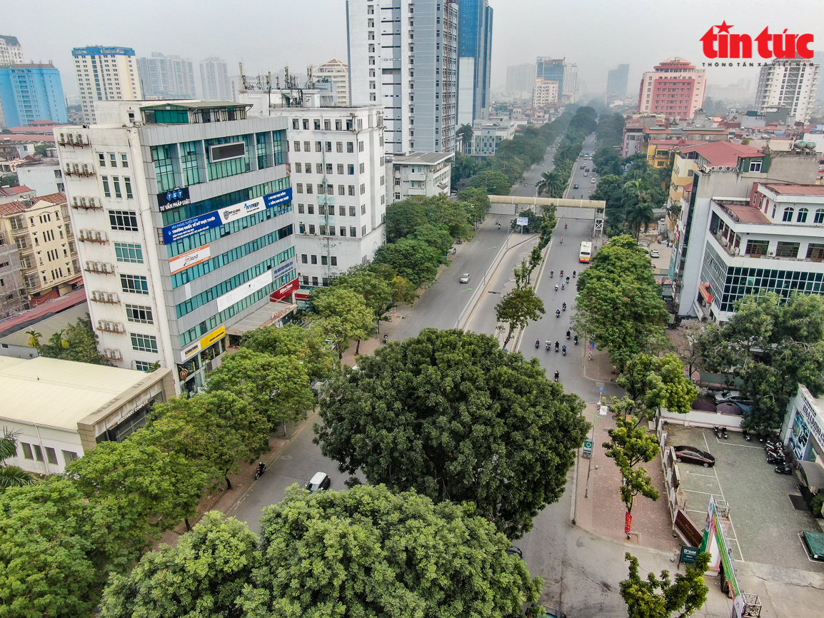  Hà Nội: Diện mạo đường Hoàng Quốc Việt trước khi bị chặt cây xanh và xén giải phân cách