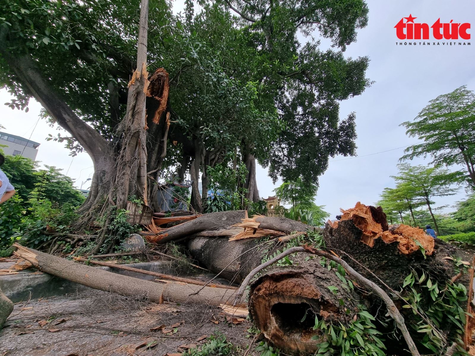 Chú thích ảnh