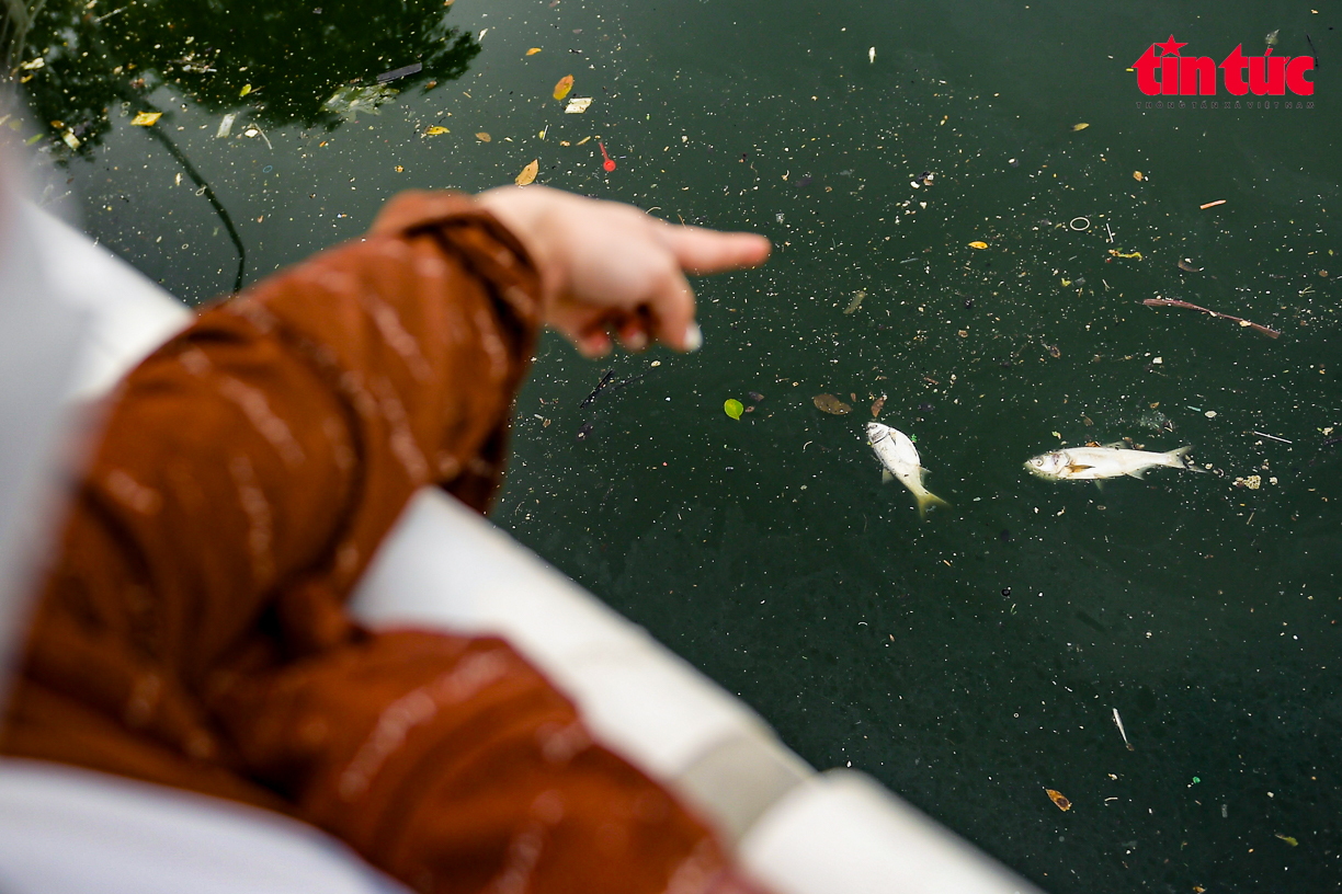 Theo đại diện Công ty TNHH MTV Thoát nước Hà Nội, có một số nguyên nhân gây hiện tượng cá chết tại Hồ Tây: Thay đổi thời tiết; thiếu không khí, hàm lượng oxy trong nước giảm; chất lượng nước ô nhiễm, có khí độc (do bùn, tảo…).