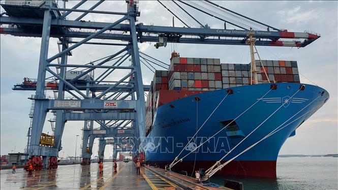 Top hơn 70 về mô hình tàu container hay nhất  Tin học Đông Hòa