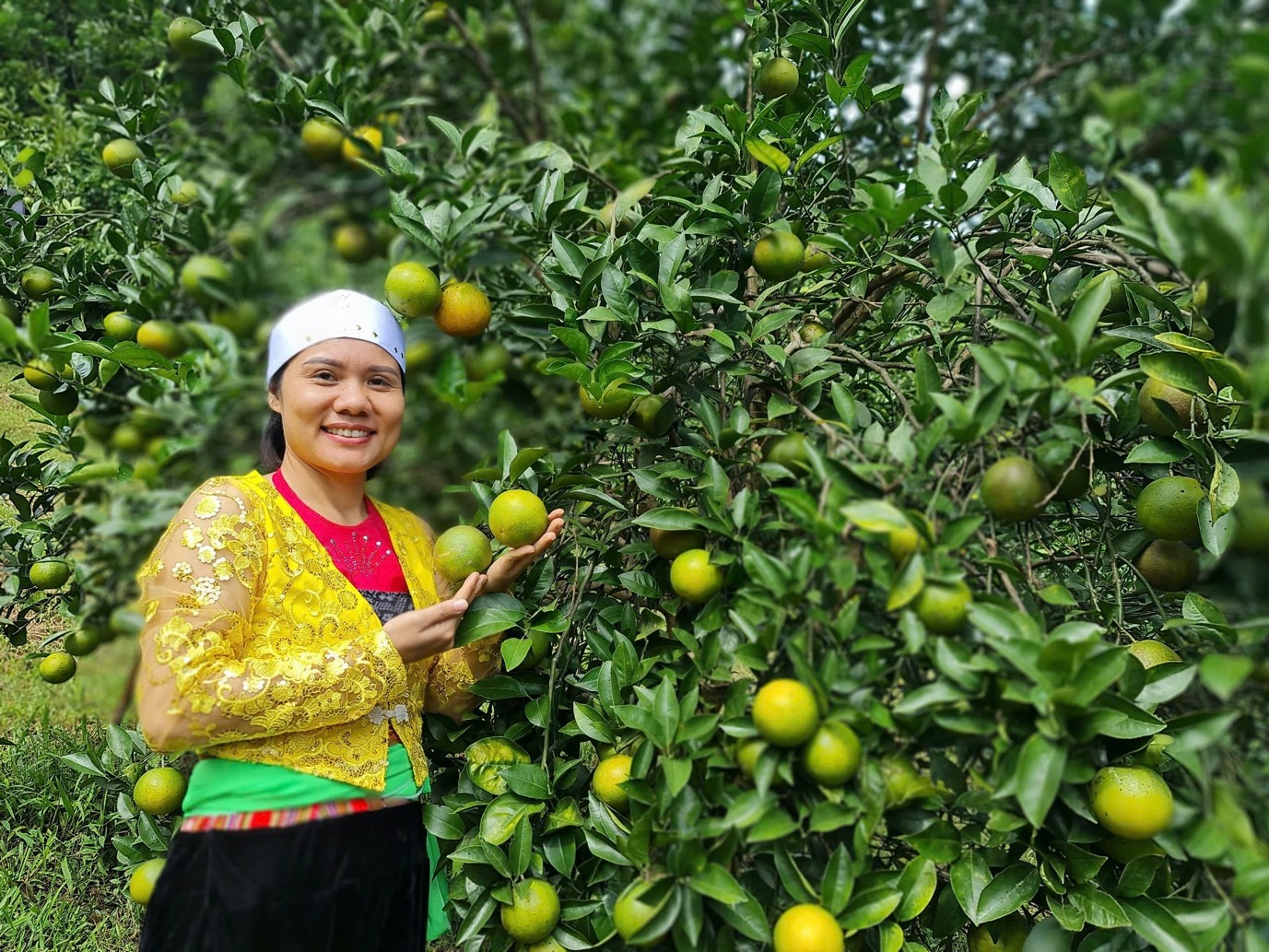 Chú thích ảnh