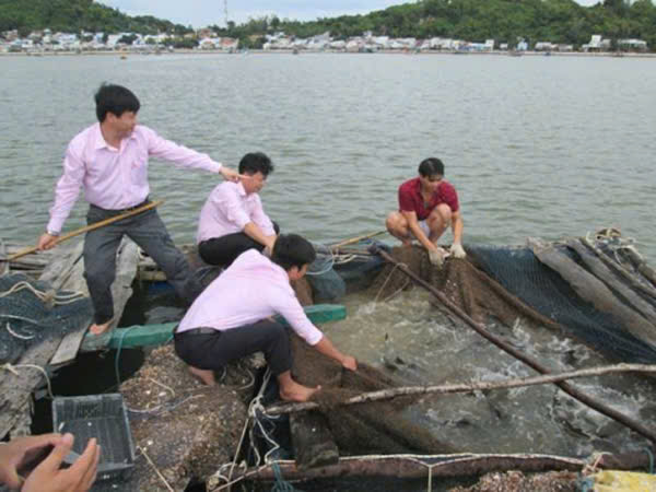 Chú thích ảnh