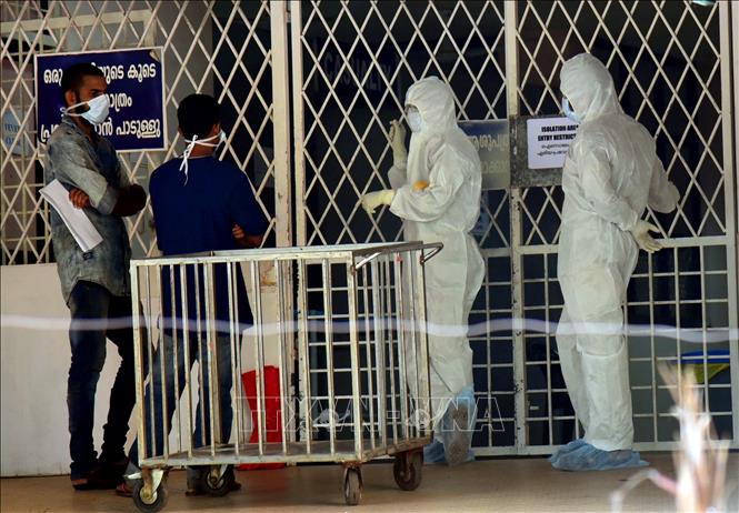 WHO: Nguy cơ lây lan virus Nipah tại Ấn Độ ở mức thấp Chú thích ảnh