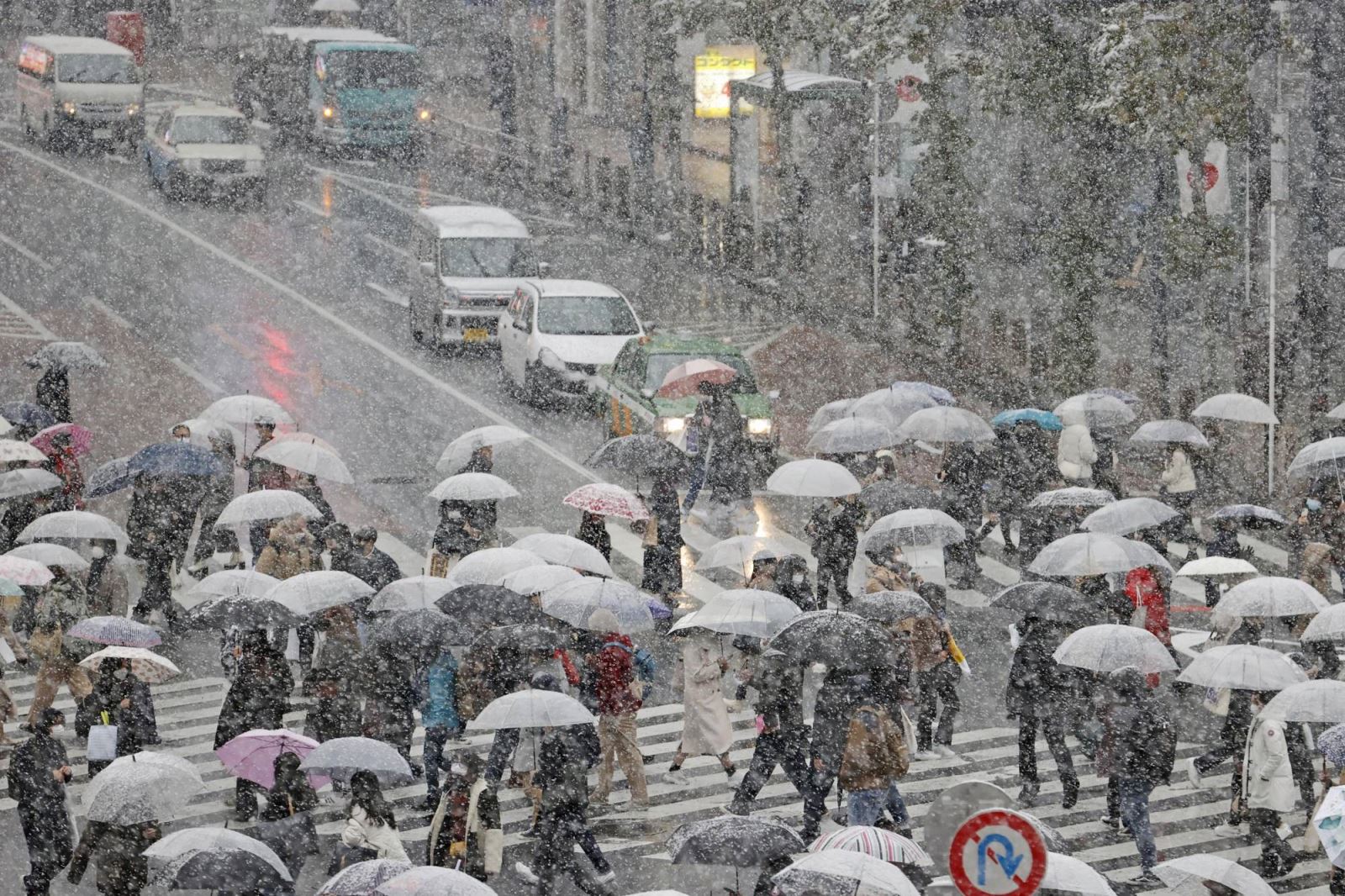 Cảnh báo tuyết rơi nhiều tại trung tâm Tokyo lần đầu tiên trong 4 năm
