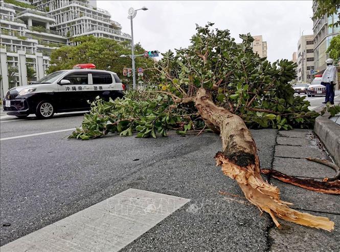 日本と韓国、台風ヒナムノールに緊急対応