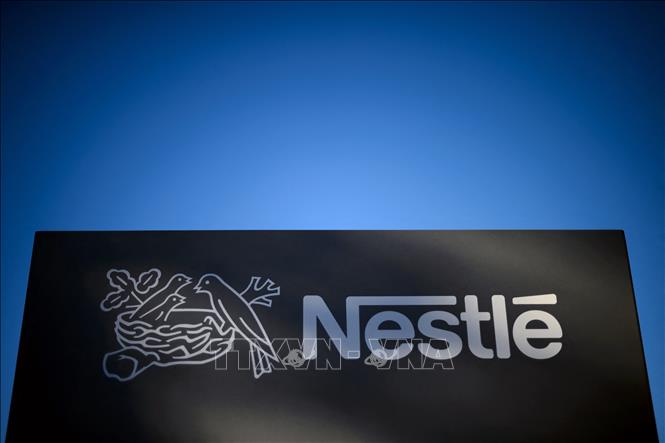 Quà Tết Nestlé tin tức hình ảnh video bình luận