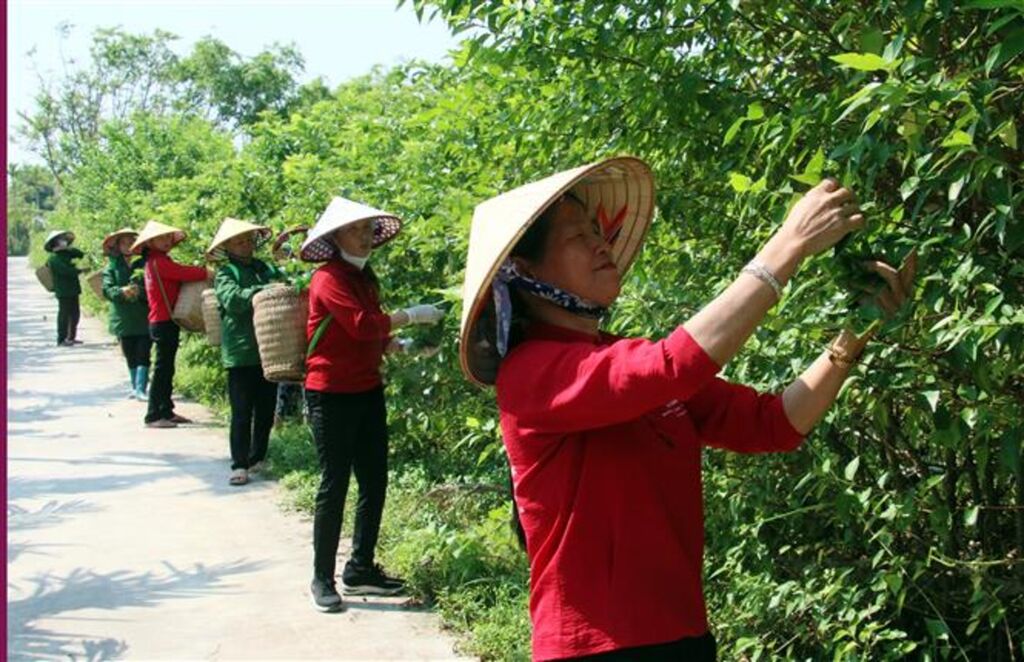 Chú thích ảnh