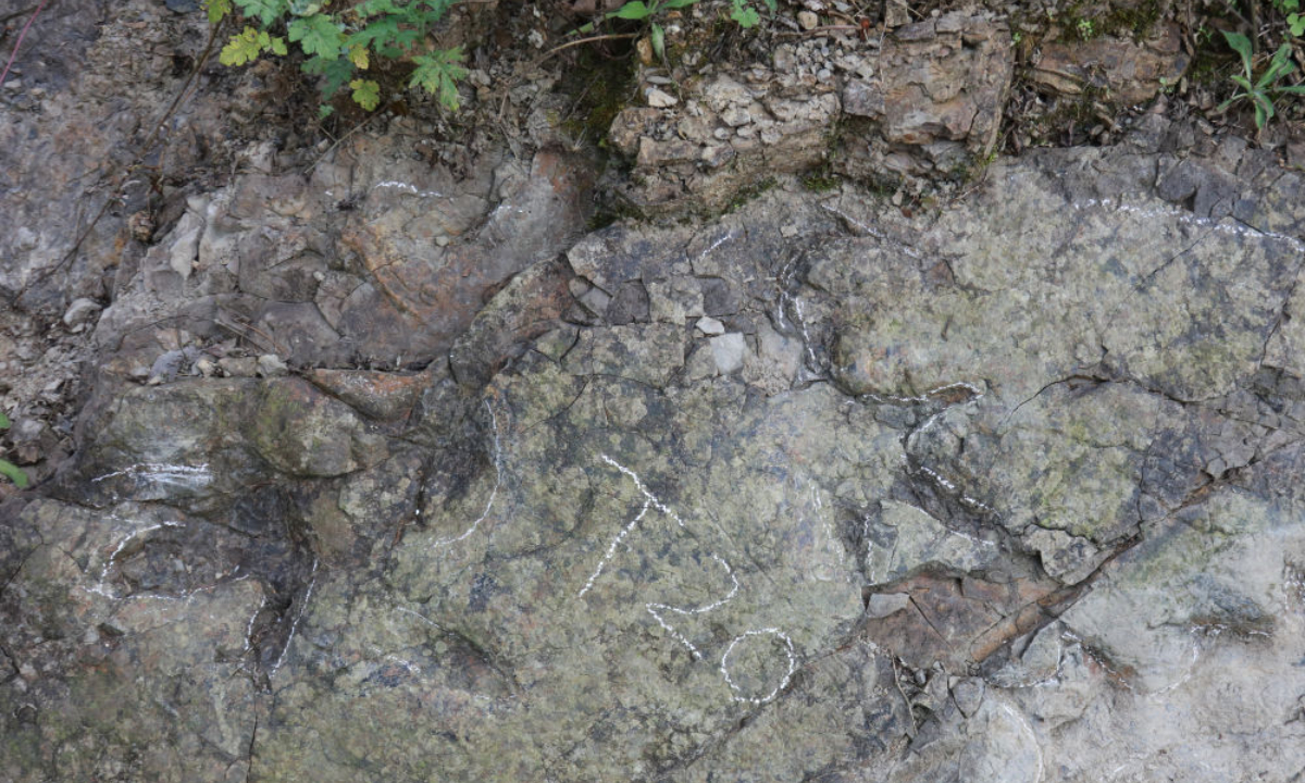 Phát hiện dấu chân khủng long có niên đại hơn 200 triệu năm tại Trung Quốc Chú thích ảnh