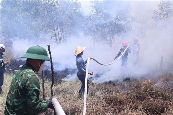 Quảng Trị: Huy động lực lượng khống chế cháy rừng tại Nam Cửa Việt Chú thích ảnh