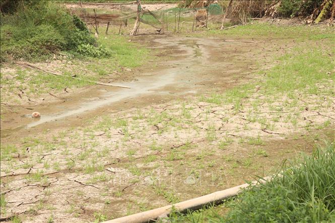 El Nino đạt cường độ mạnh đến rất mạnh - cần kịp thời ứng phó