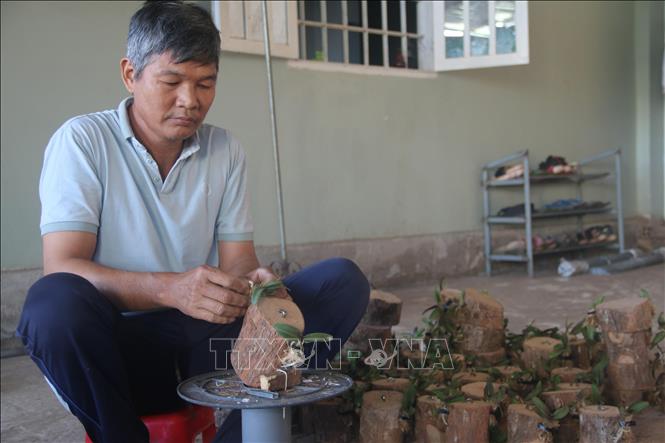 Nông dân Thuận An Vươn lên làm giàu nhờ ứng dụng khoa học công nghệ  Báo  Bình Dương Online