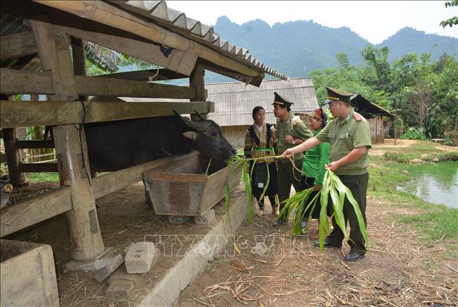 Chú thích ảnh