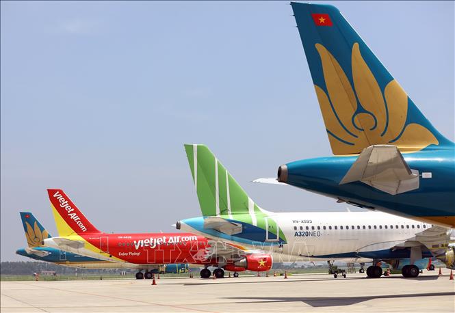 


Máy bay của các hãng hàng không tại sân bay Nội Bài. Ảnh tư liệu: Huy Hùng/TTXVN
