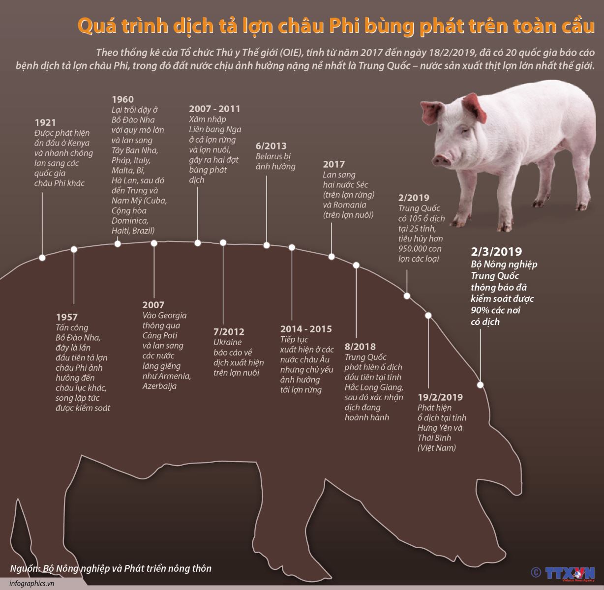Quá Trình Dịch Tả Lợn Châu Phi Bùng Phát Trên Toàn Cầu | Baotintuc.Vn