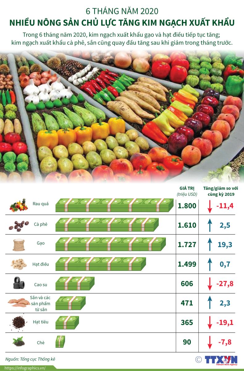 infographic nhieu nong san chu luc tang kim ngach xuat khau