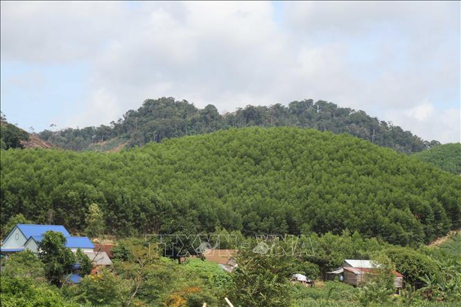 Hội thảo Phục hồi rừng và việc sử dụng đất của người dân ở vùng lưu vực  sông Sêrêpốk tỉnh Đắk Lắk  Xuất bản thông tin