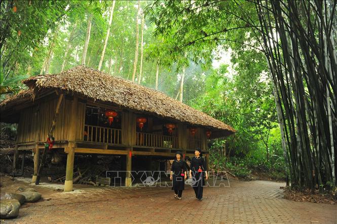 Khu bảo tồn làng nhà sàn dân tộc Thái Hải | baotintuc.vn