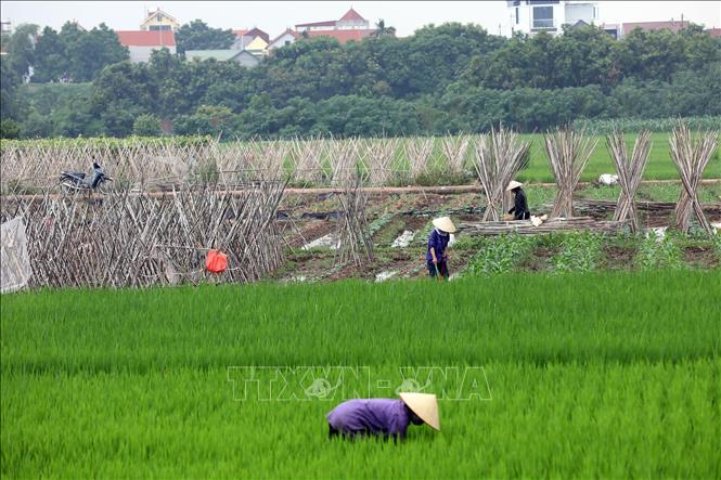 Sản xuất công nghiệp Hà Nội Nỗ lực giữ đà phục hồi  Hànộimới