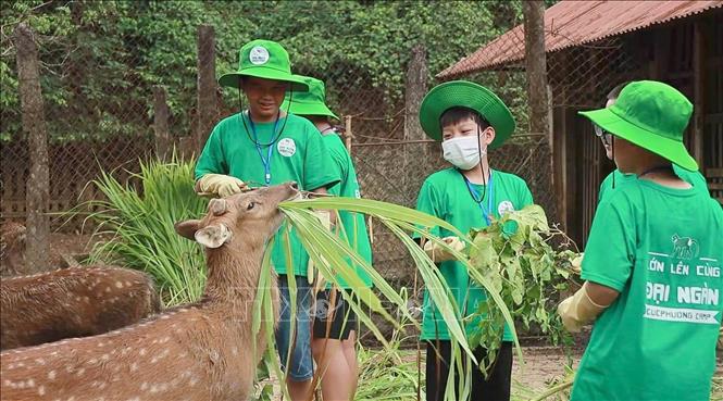 Chú thích ảnh