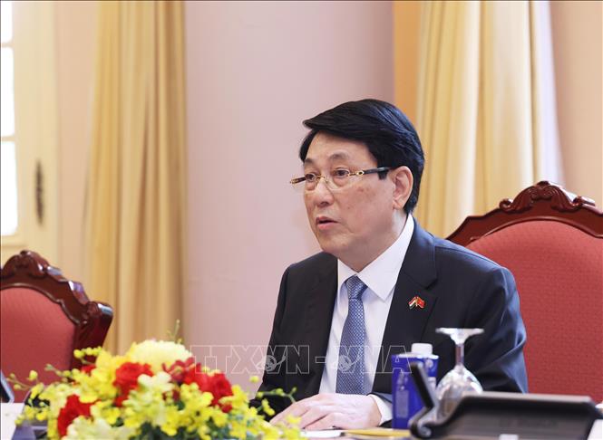 Chủ tịch nước Lương Cường phát biểu tại hội đàm. Ảnh: Lâm Khánh/TTXVN
