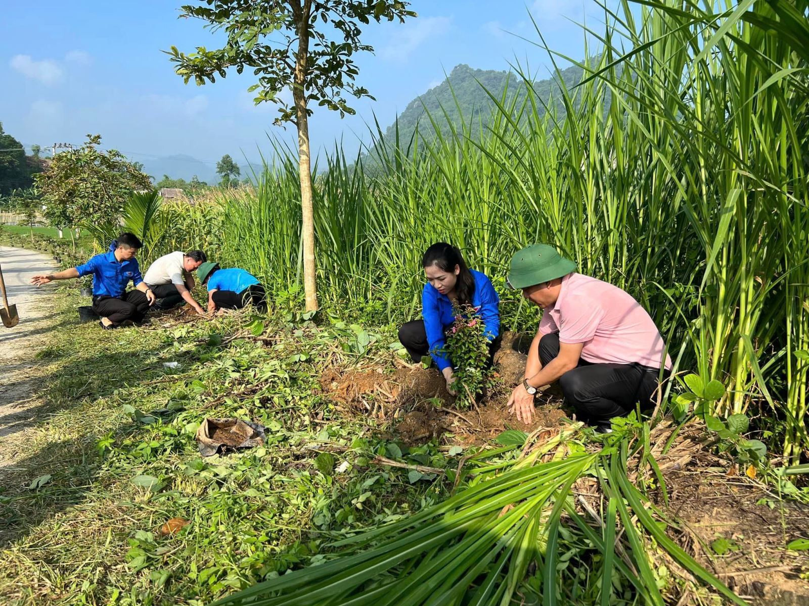 Chú thích ảnh