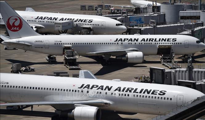 Giảm 7000 Mô hình máy bay tĩnh boeing b787  japan airlines 20cm có bánh  xe  tháng 82023  BeeCost